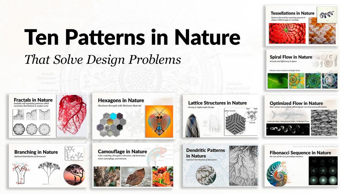 10 Patterns In Nature That Solve Design Problems Patterns In Nature How To Find Fractals Science World