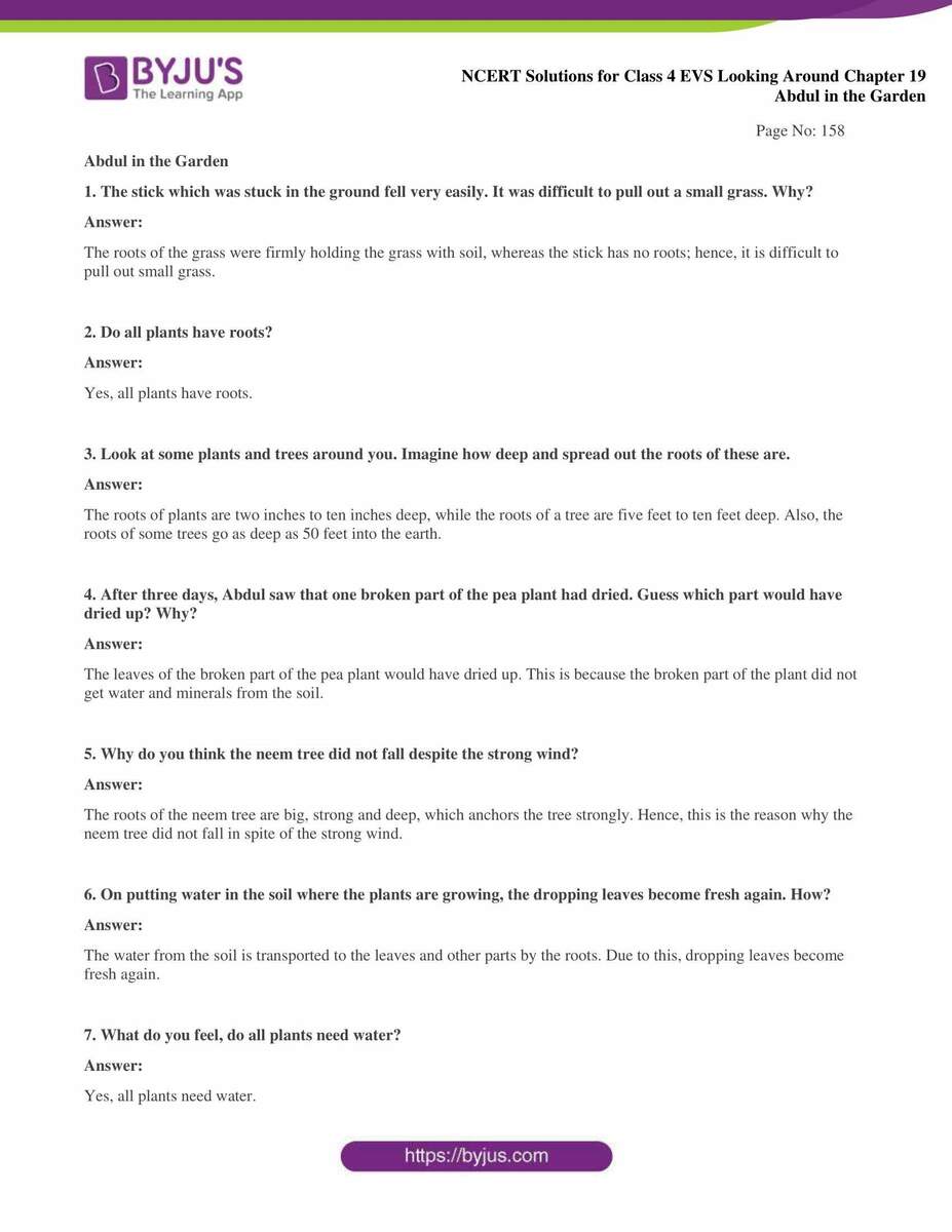 Access Answers To NCERT Class 4 EVS Chapter 19 Abdul In The Garden