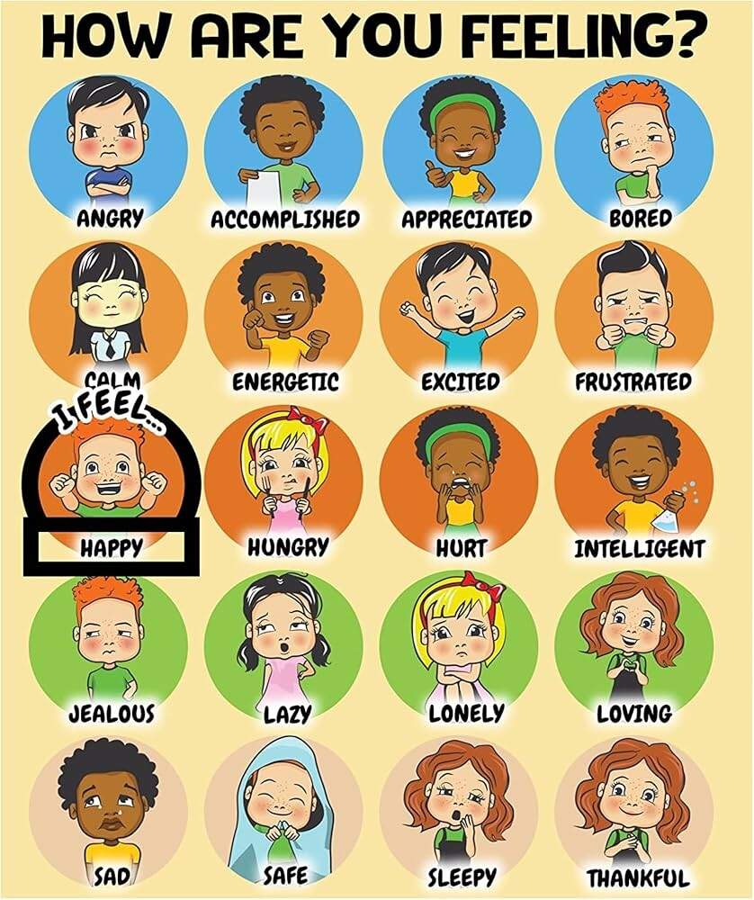 Amazon L Learning Toy Boxes Feelings And Emotions Chart For Kids How I Am Feeling Emotion Magnets Feeling Poster Daily Mood Behavior Chart Emotions Posters For Home And Calming Corner Classroom How Using An Emotions Chart Helped My Toddler And Me