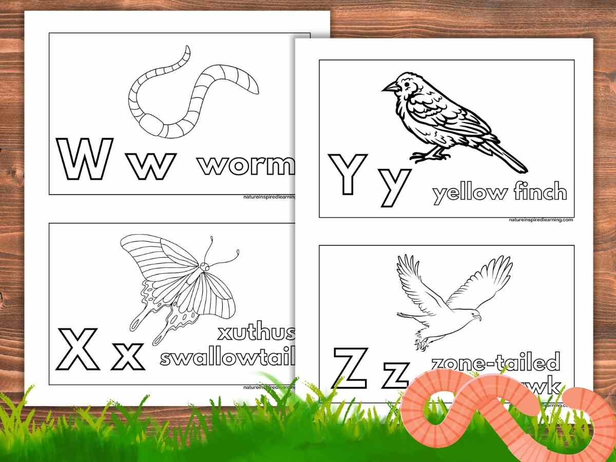 Animal Alphabet Printables Nature Inspired Learning