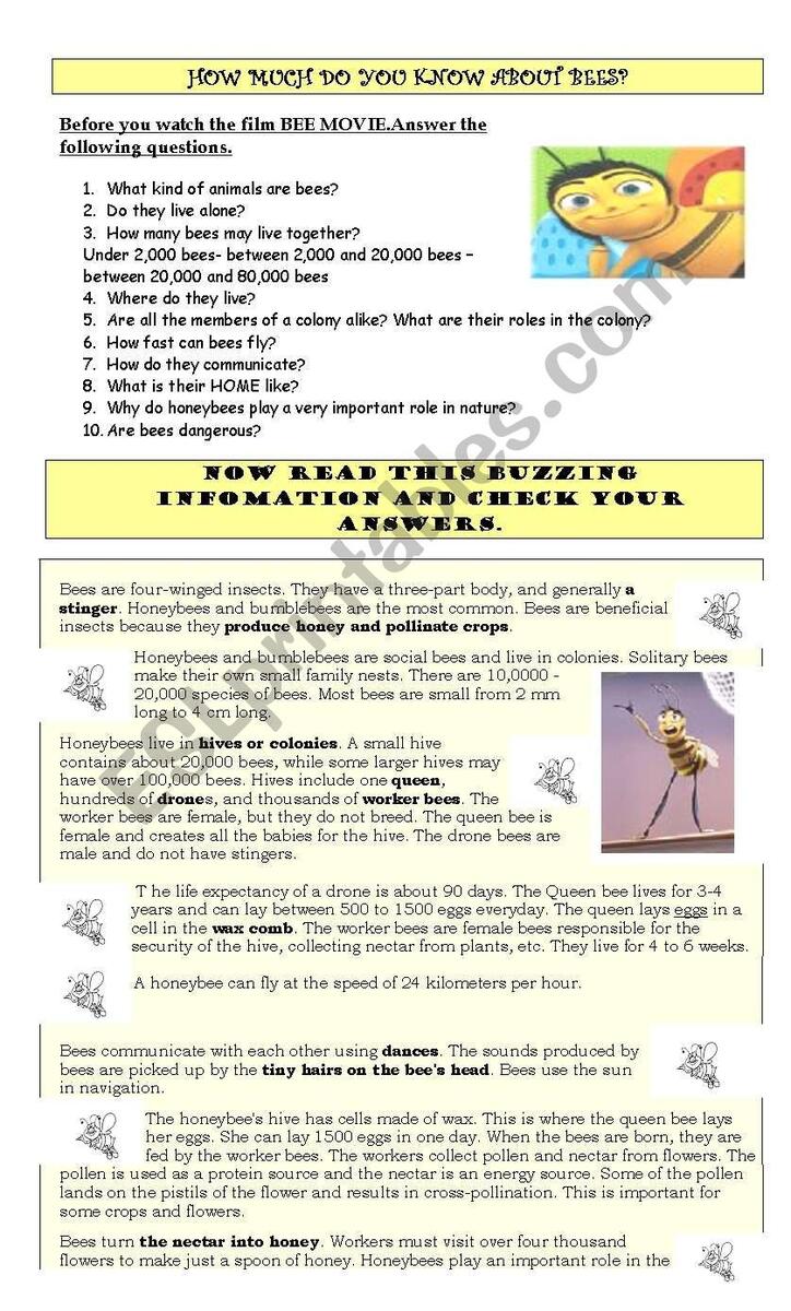 BEE MOVIE GUIDE AND ACTIVITIES ESL Worksheet By Greenwood