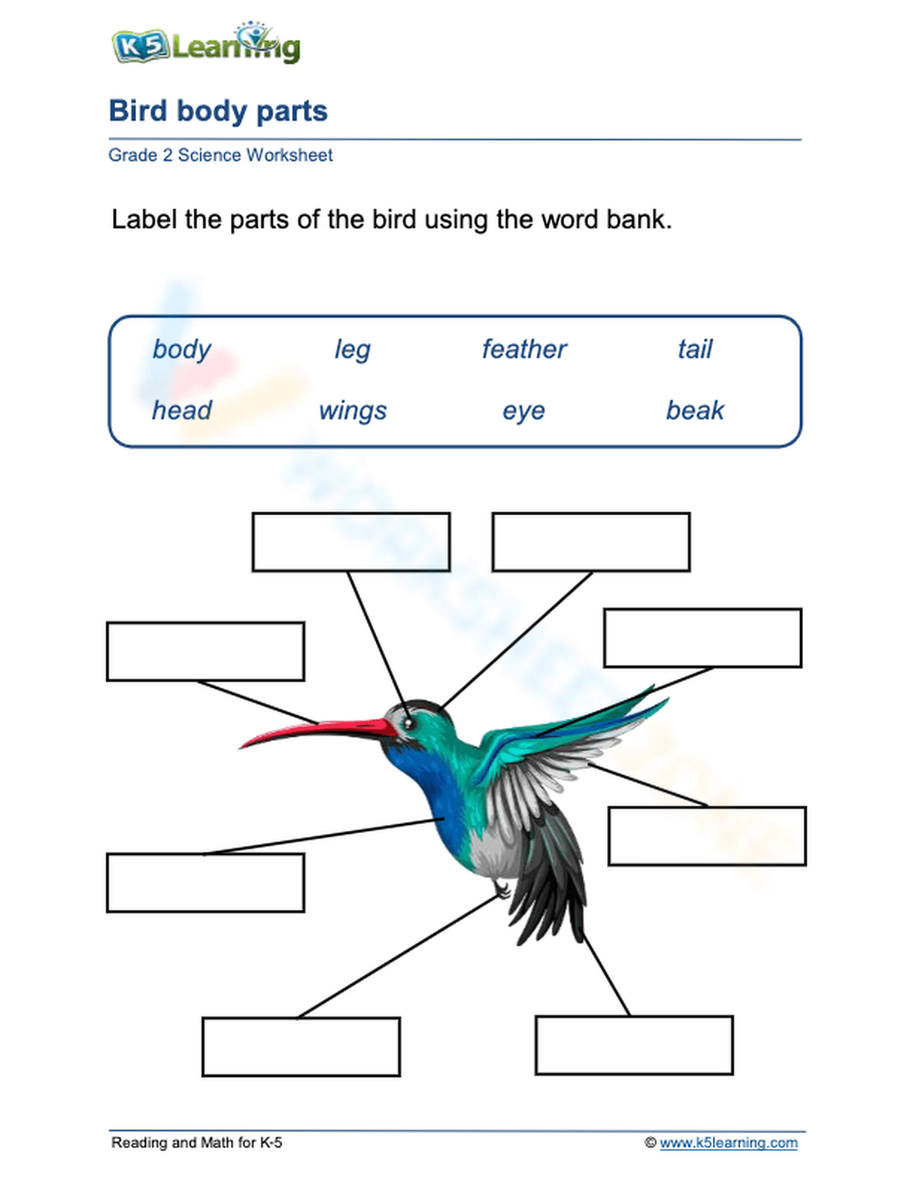 Bird Body Parts Worksheet Bird Body Parts Worksheet