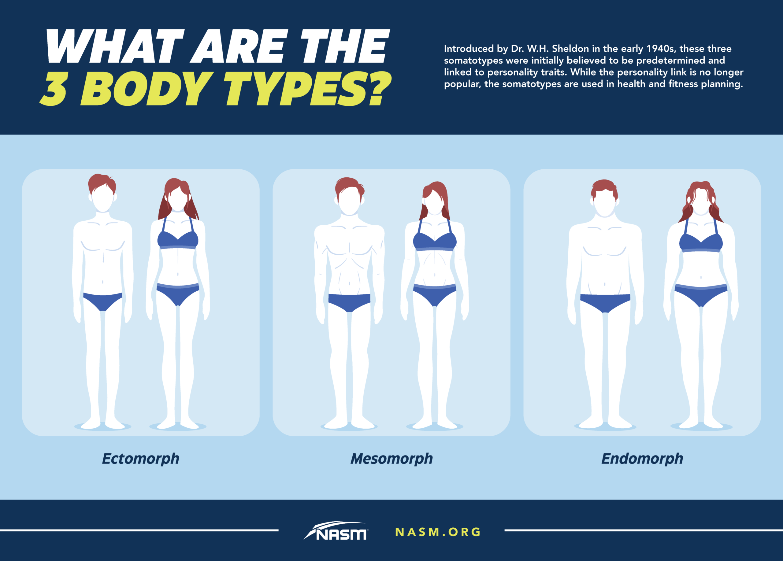 Body Types Mesomorph Ectomorph Endomorph Explained NASM A Good VO2max Charts By Age Gender Sport And Athlete Fitness