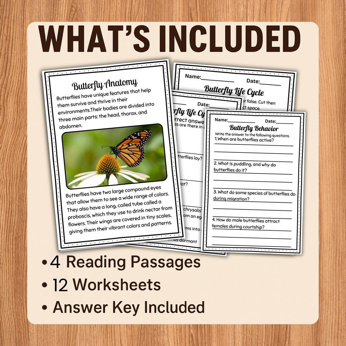 Butterfly Reading Comprehension Worksheets Nonfiction Passages For Grades K 2 Spring Insect Literacy PDF Homeschool Resource Etsy
