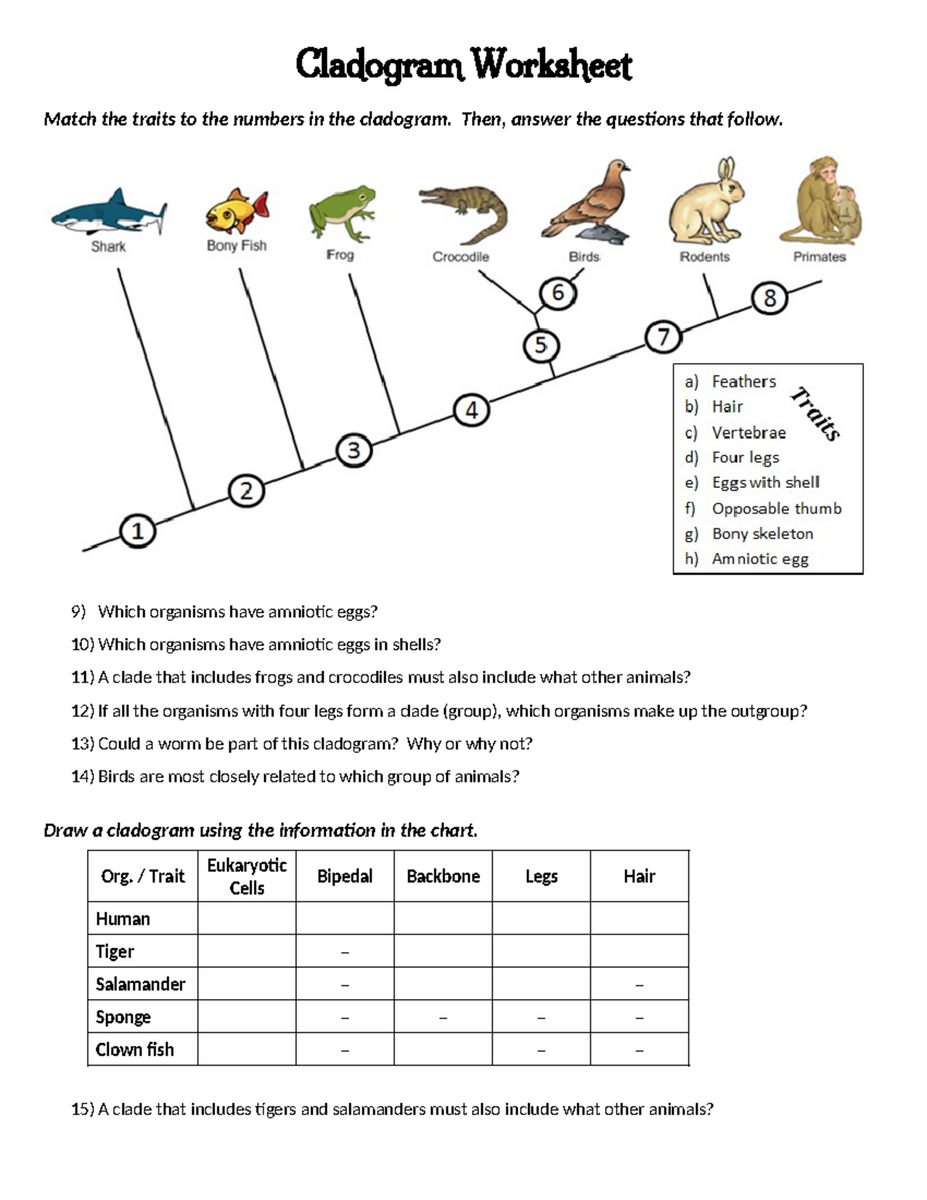 Cladogram Worksheet Analyzing Traits Phylogenetic Relationships Studocu Cladogram Worksheets