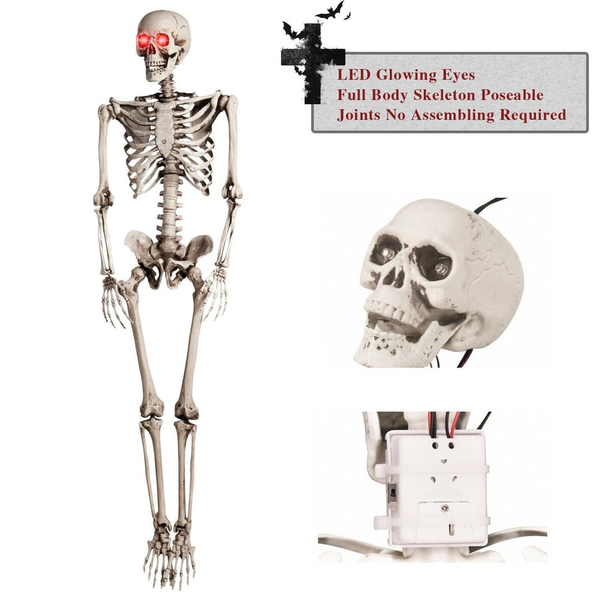 Classroom Anatomy Poster Life Size Human 24x66 Inch Classroom Anatomy Chart Skeleton Poster Classroom Anatomy Poster Life Size Human 24x66 Inch Classroom Anatomy Chart Skeleton Poster