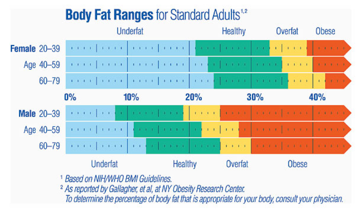 Client Health Summary And Assessment Client Health Summary And Assessment