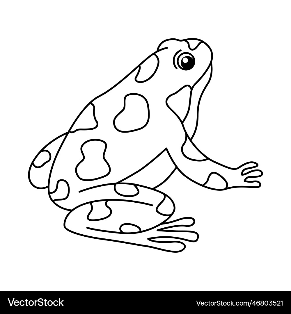 Adorable Frog Coloring Pages For Preschoolers Printable Frog Coloring Sheets Instant Digital Download PDF Etsy Israel