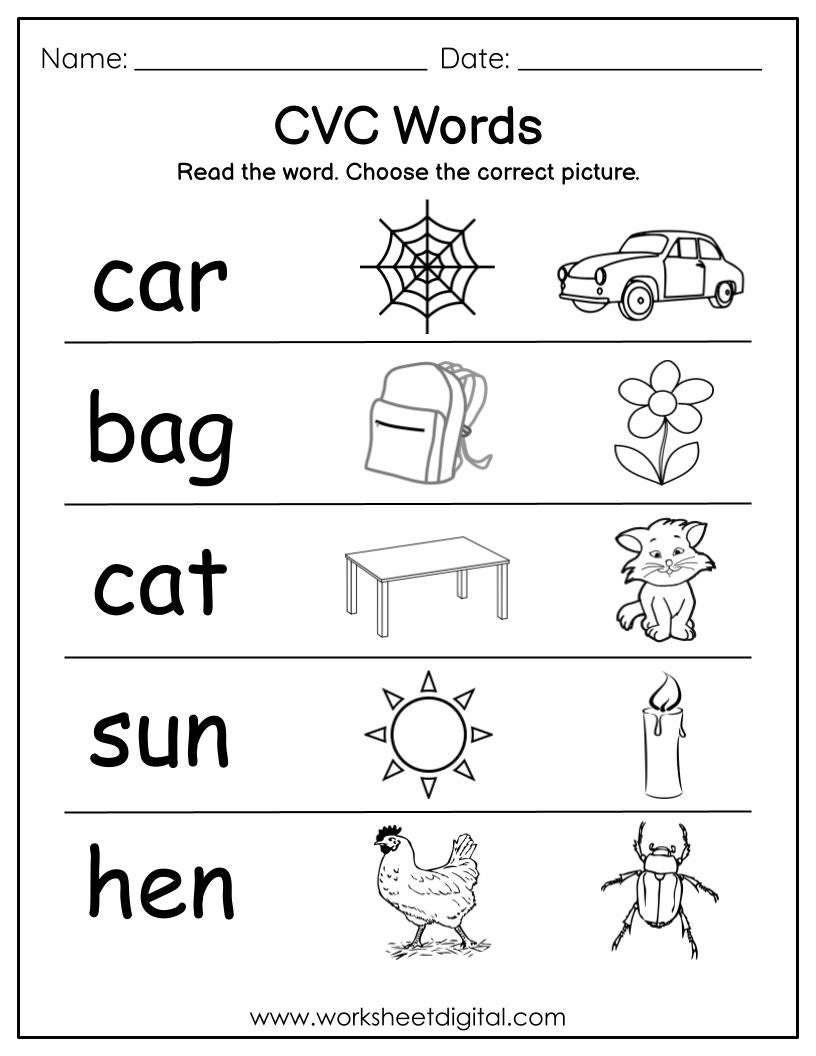 CVC Words Phonics Worksheets Kindergarten Read Choose Digital Download Etsy