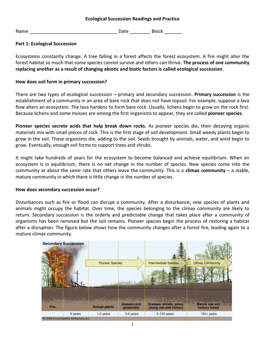 Ecological Succession Readings And Practice Worksheet