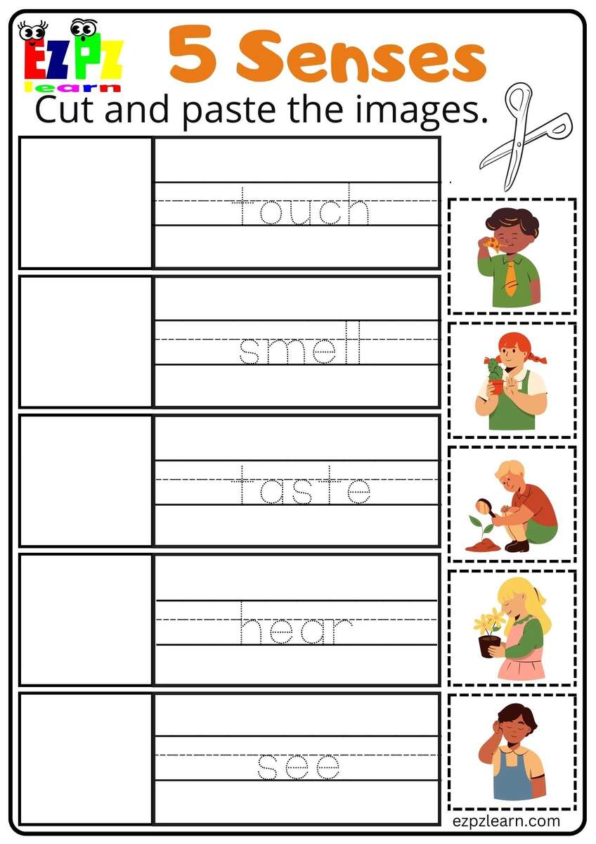 Five Senses Worksheets For Preschool And Kindergarten MegaWorkbook