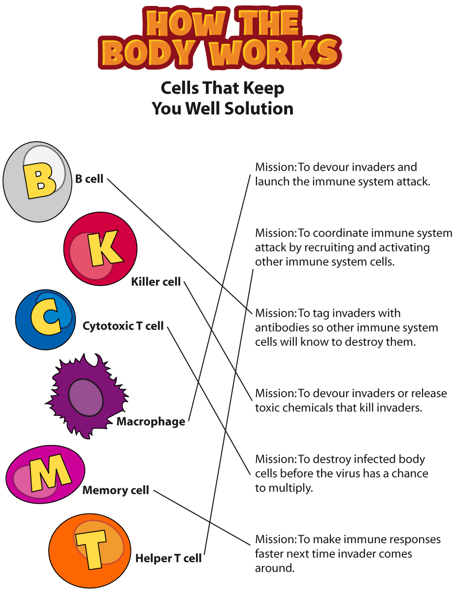 How To Get Rid Of The Flu 11 Remedies You Need To Know GoodRx