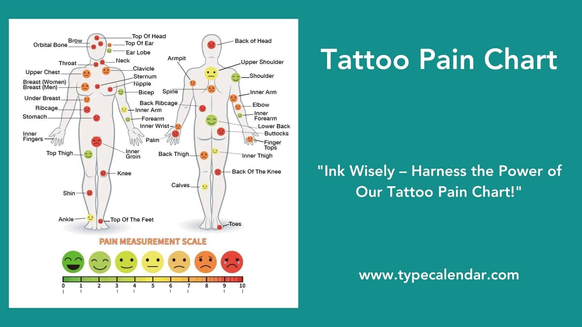 Free Printable Tattoo Pain Charts 1 10 For Female Men Chest Leg Ear Wrist Free Printable Tattoo Pain Charts 1 10 For Female Men Chest Leg Ear Wrist