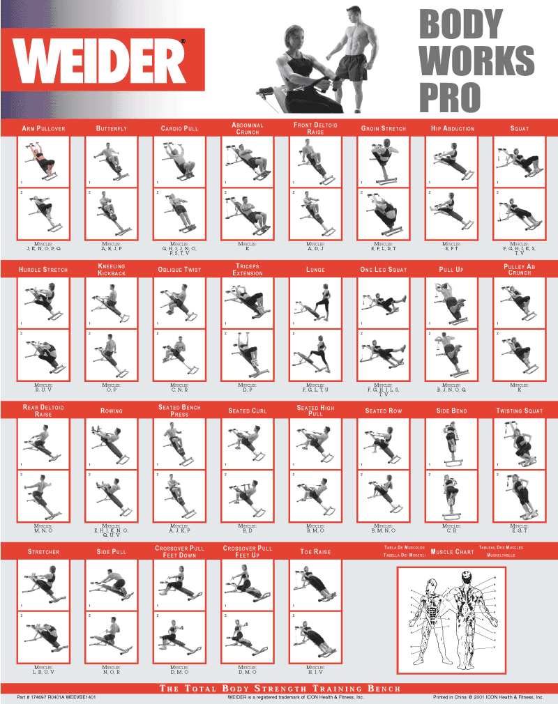 HOT Weider Total Gym Exercises Total Body Weider Body Works Exercise Chart Chart Weider Total