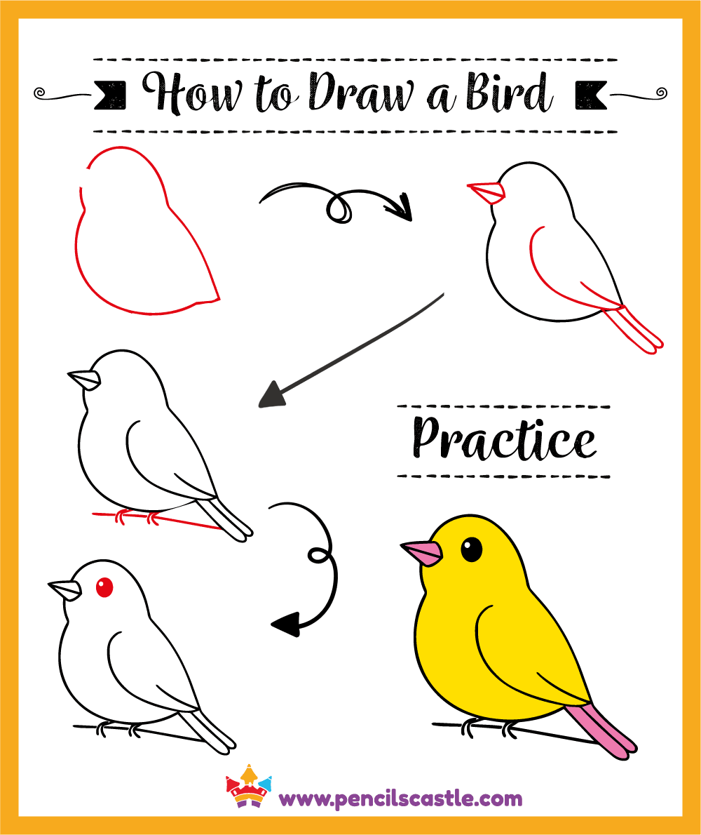 How To Draw A Bird For Kids Easy Drawing Free PDF Pencils Castle