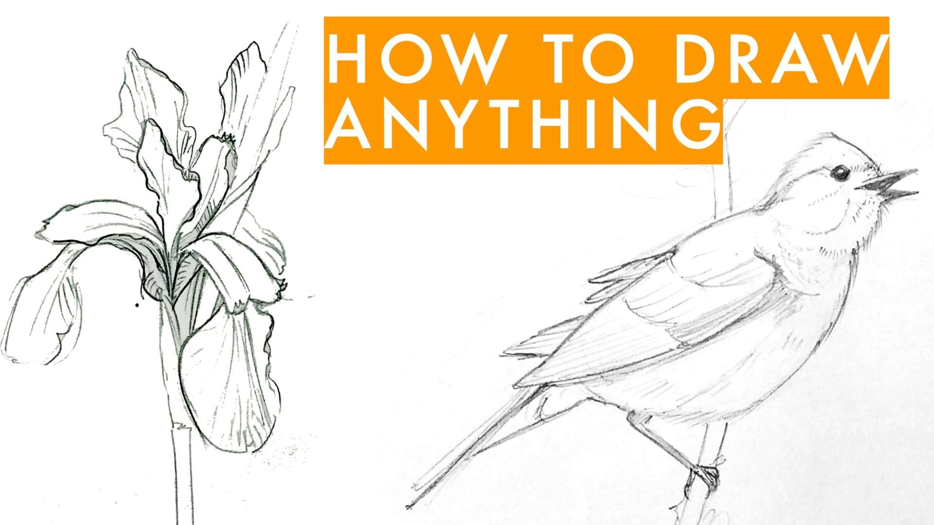 How To Draw Anything Learn Sketching For Beginners Julia Bausenhardt 7 Easy Art Lessons For When You Re In A Pinch The Art Of Education