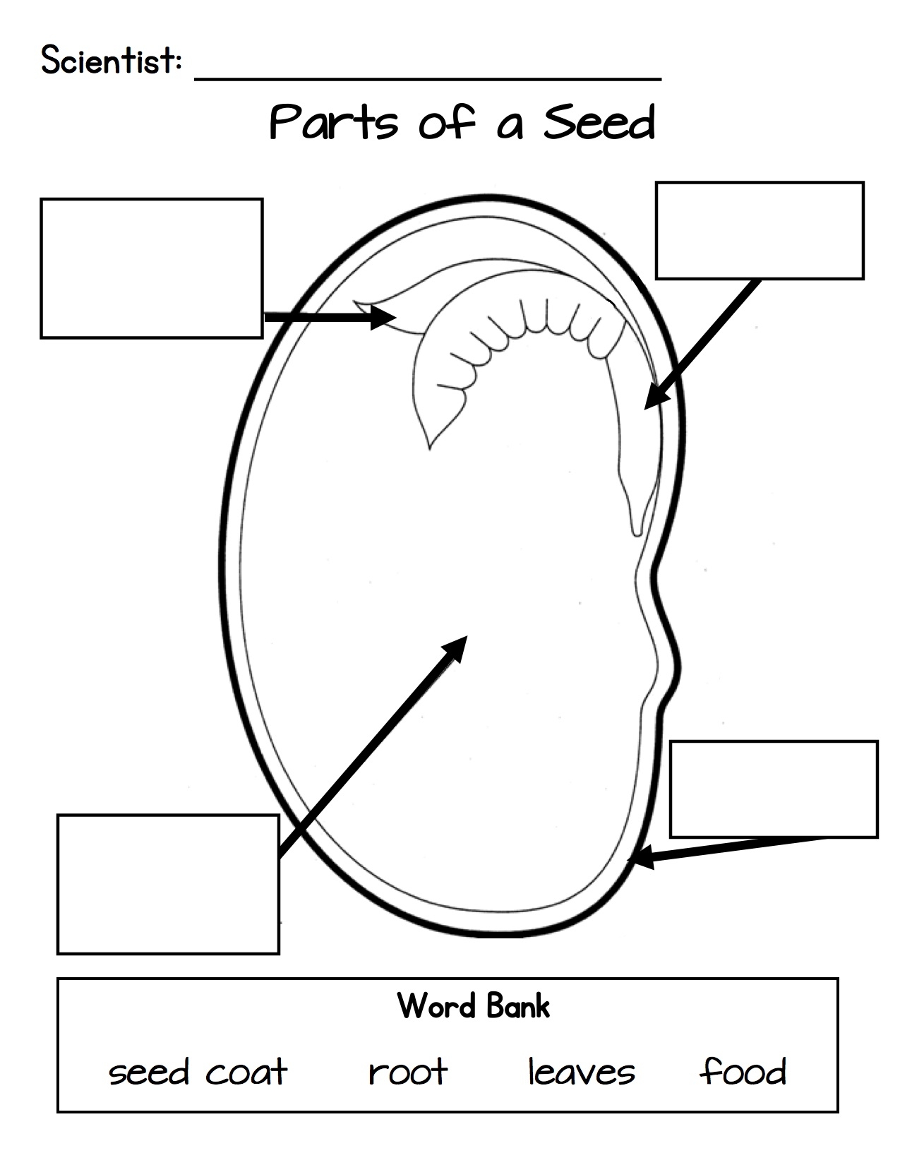 Jack And The Beanstalk Kindergarten Nana Jack And The Beanstalk Kindergarten Nana