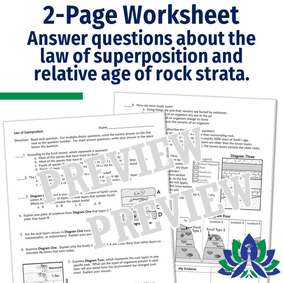 Law Of Superposition Worksheet Flying Colors Science