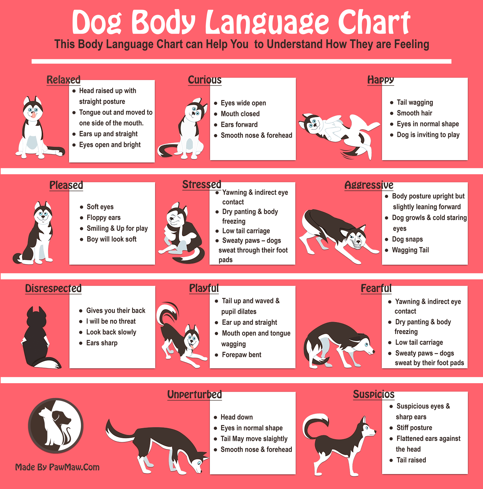 Canine Body Language A Lesson In Understanding Your Labrador