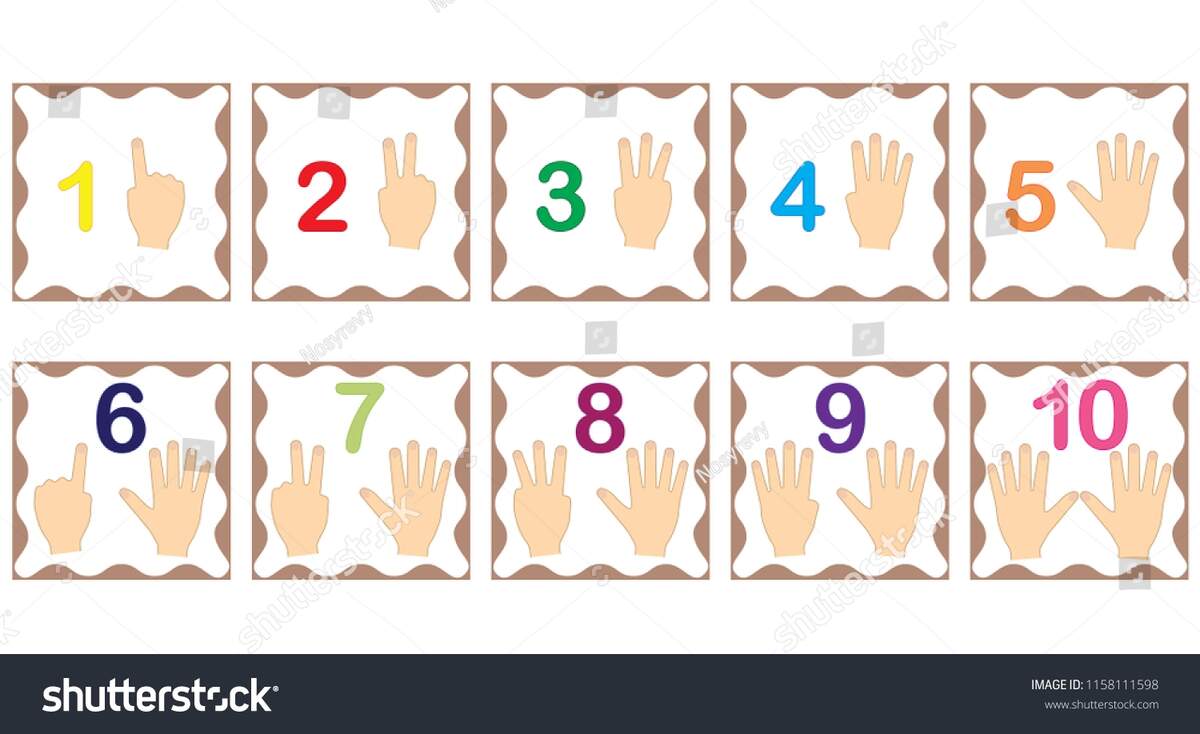 Finger Counting Flash Cards Hand Counting Cards Nomenclature Cards Homeschool Materials Toddler Flashcards Etsy