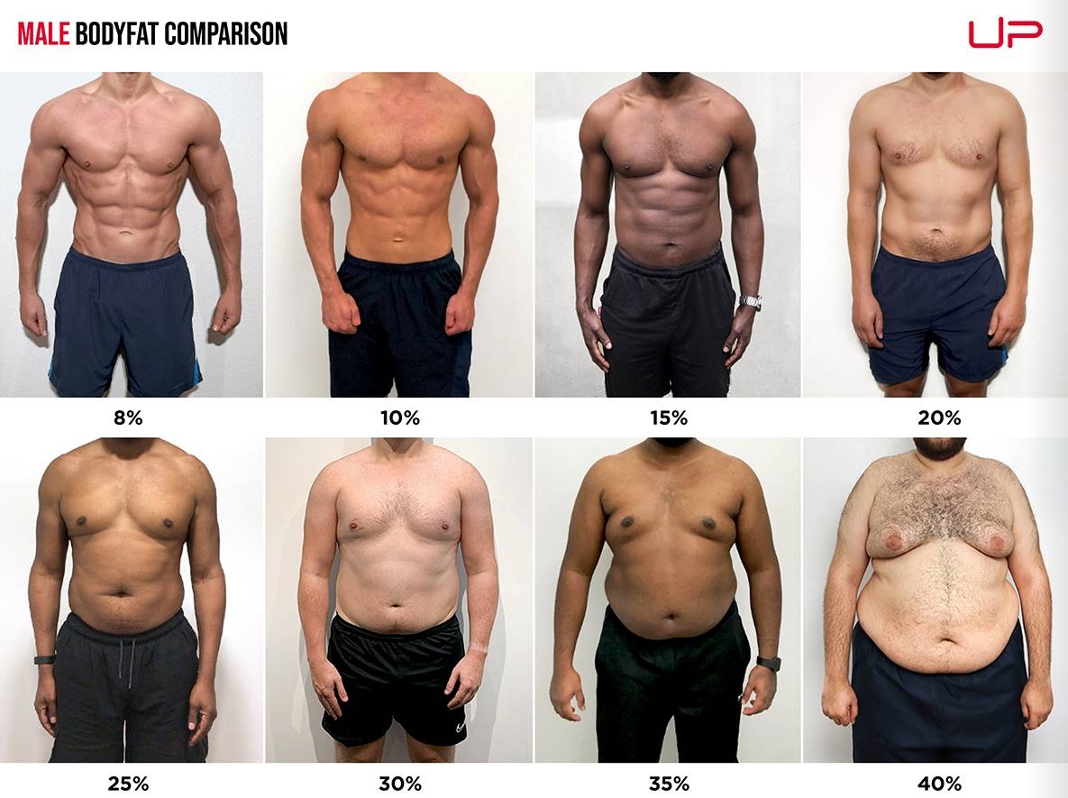 Body Fat Percentage Chart By Age And Gender In PDF Download Template