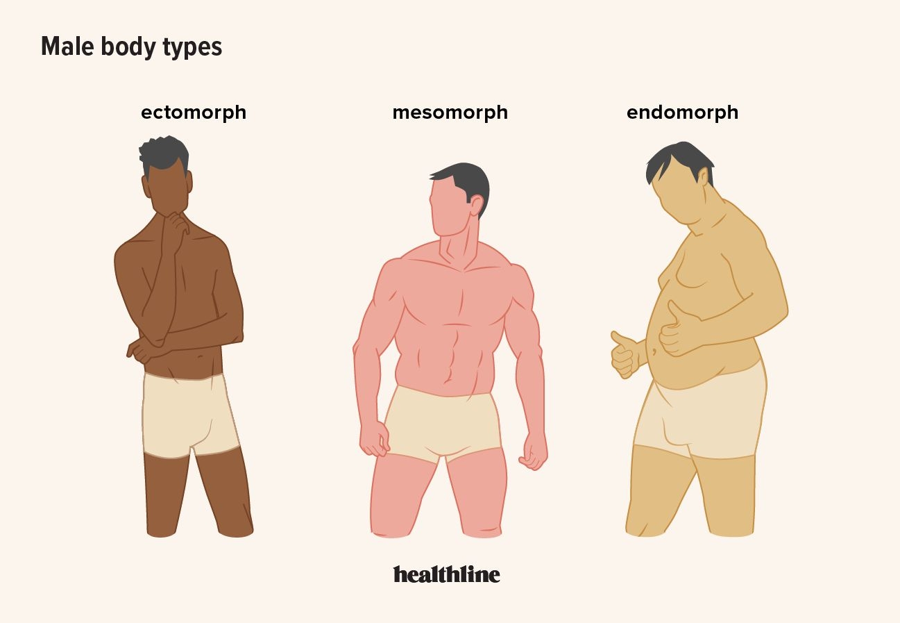 Male Body Types Definitions And What They May Mean Body Fat Percentage Comparisons For Men Women 2023 Updated