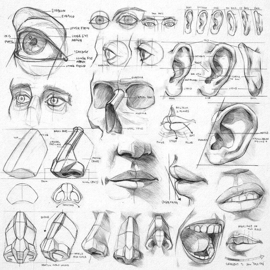 Pencil Drawing For Beginners All You Need To Know The Art And Beyond Pencil Drawing For Beginners All You Need To Know The Art And Beyond