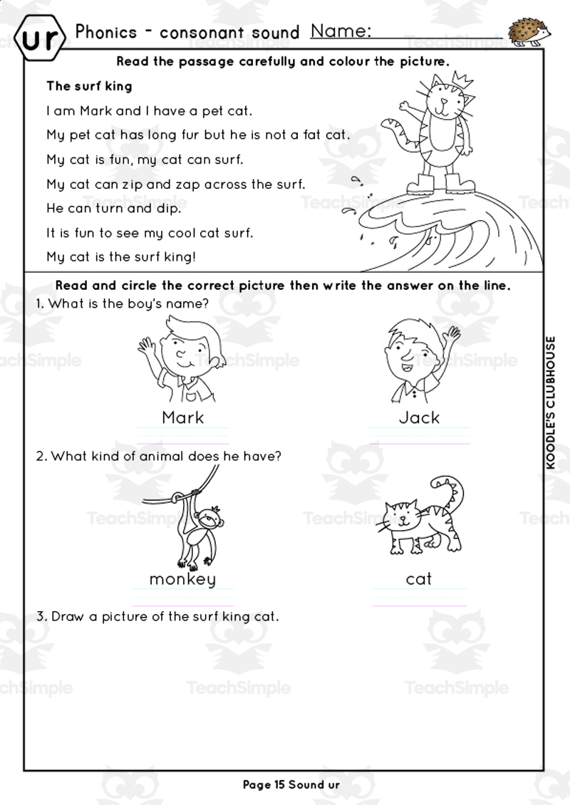 Phonics Ar Or Ur Ow Oi Worksheets By Teach Simple