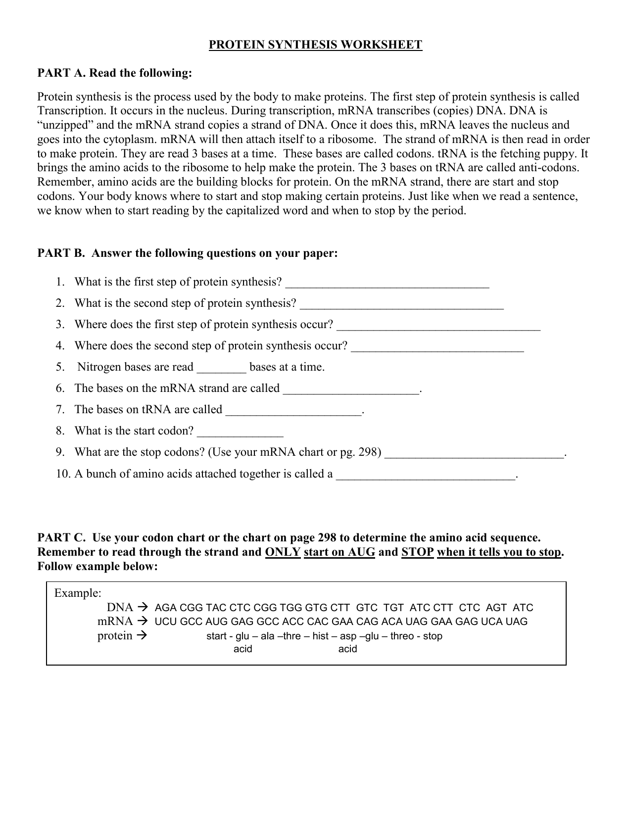Protein Synthesis Worksheet Transcription Translation Codons