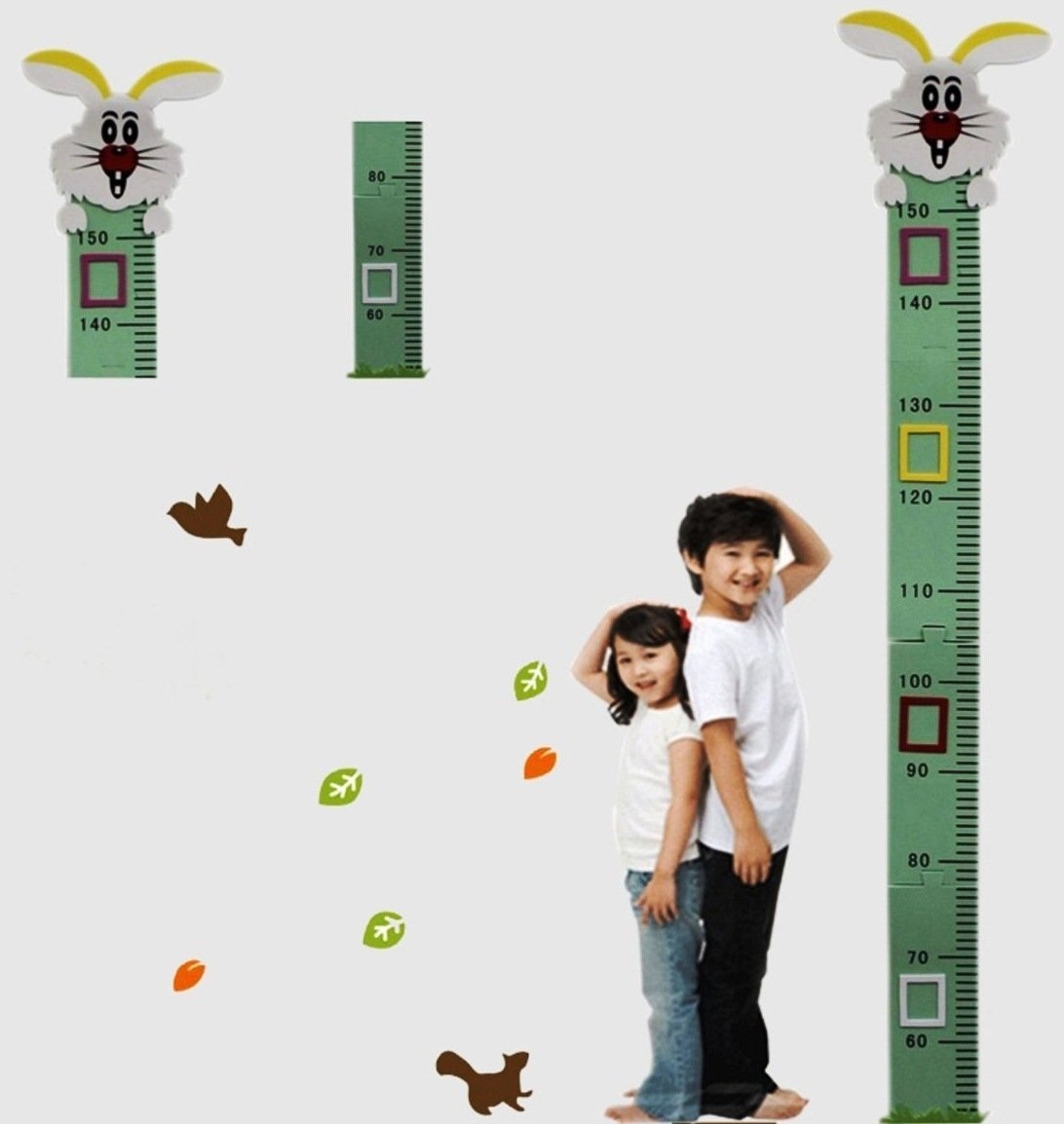 SAVING BASKET Kids Height Chart Wall Removable Stickers Standard Size Rabbit 1 5 M Amazon In Baby Products SAVING BASKET Kids Height Chart Wall Removable Stickers Standard Size Rabbit 1 5 M Amazon In Baby Products