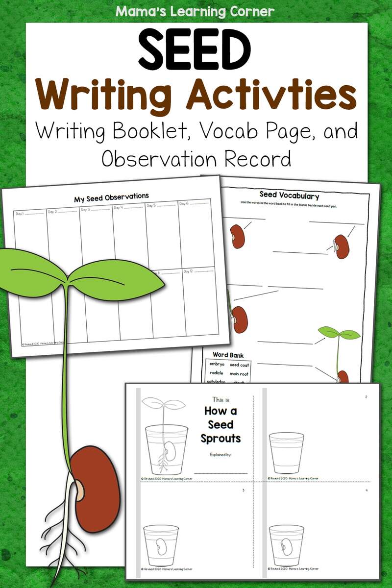 Seed Writing Activities Mamas Learning Corner Seed Writing Activities Mamas Learning Corner
