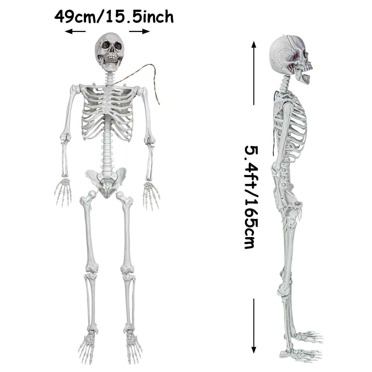 Skeleton Halloween Decorations IDMOP 5 4Ft Life Size Full Body Realistic Human Bones With Posable Joints Halloween Skeleton Skeleton Halloween Decorations IDMOP 5 4Ft Life Size Full Body Realistic Human Bones With Posable Joints Halloween Skeleton