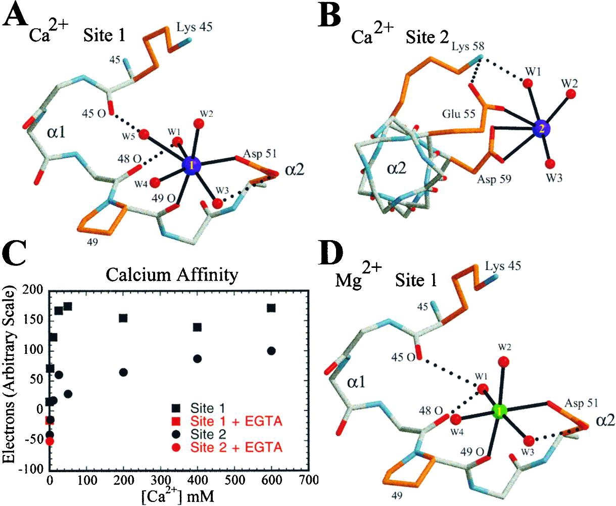 Structure Of The InlB Leucine Rich Repeats A Domain That Triggers Host Cell Invasion By The Bacterial Pathogen L Monocytogenes ScienceDirect
