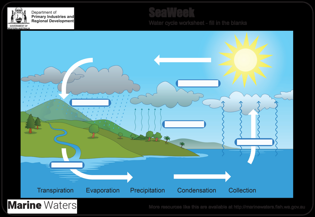 Student Worksheet The Water Cycle Department Of Primary Industries And Regional Development