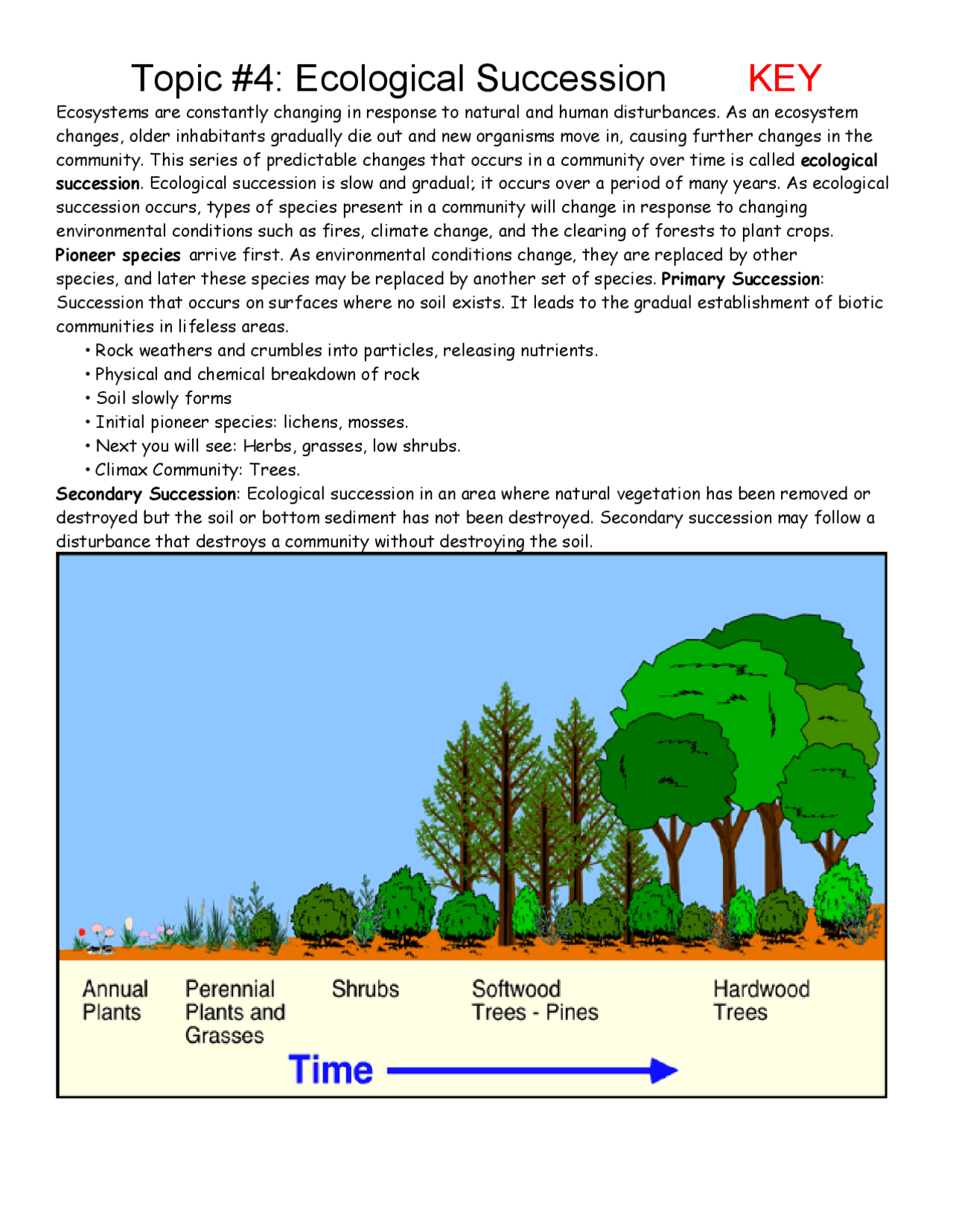 Succession Worksheet Answers Key Exercises Ecology And Worksheets Library