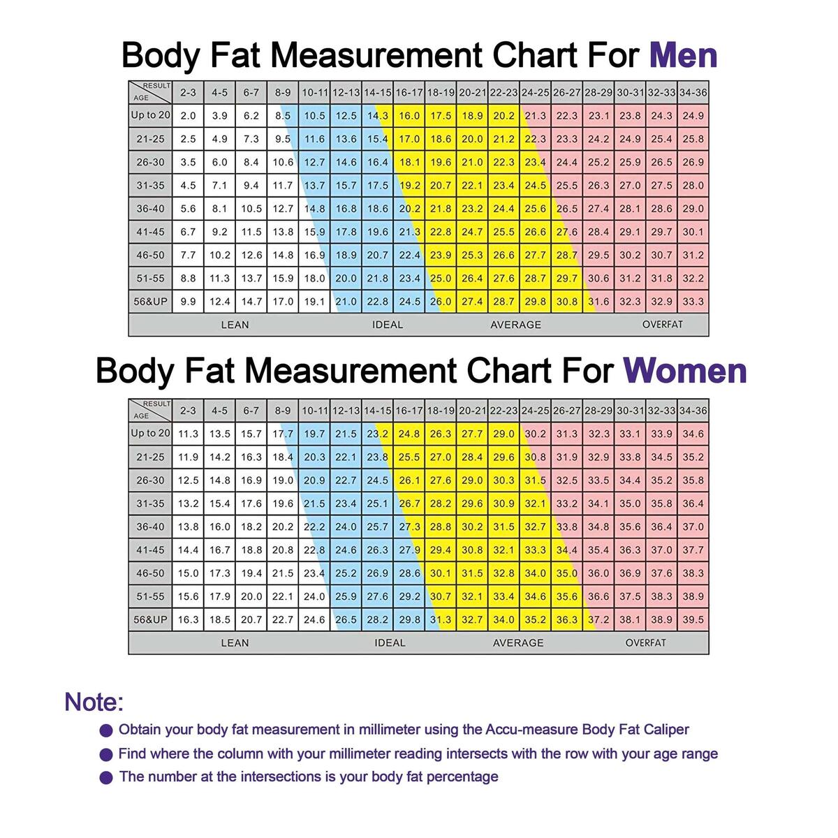 Accu Measure Fitness 3000 Body Fat Caliper Measure Body Fat Percentage Accurately Buy Now With Express International Delivery GoSupps