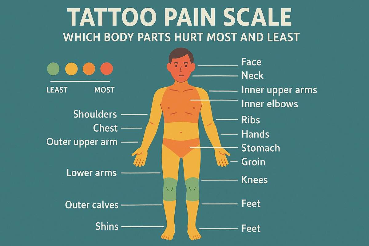 Tattoo Pain Scale Which Body Parts Hurt Most And Least Grand Avenue Tattoo Phoenix AZ Tattoo Pain Scale Which Body Parts Hurt Most And Least Grand Avenue Tattoo Phoenix AZ