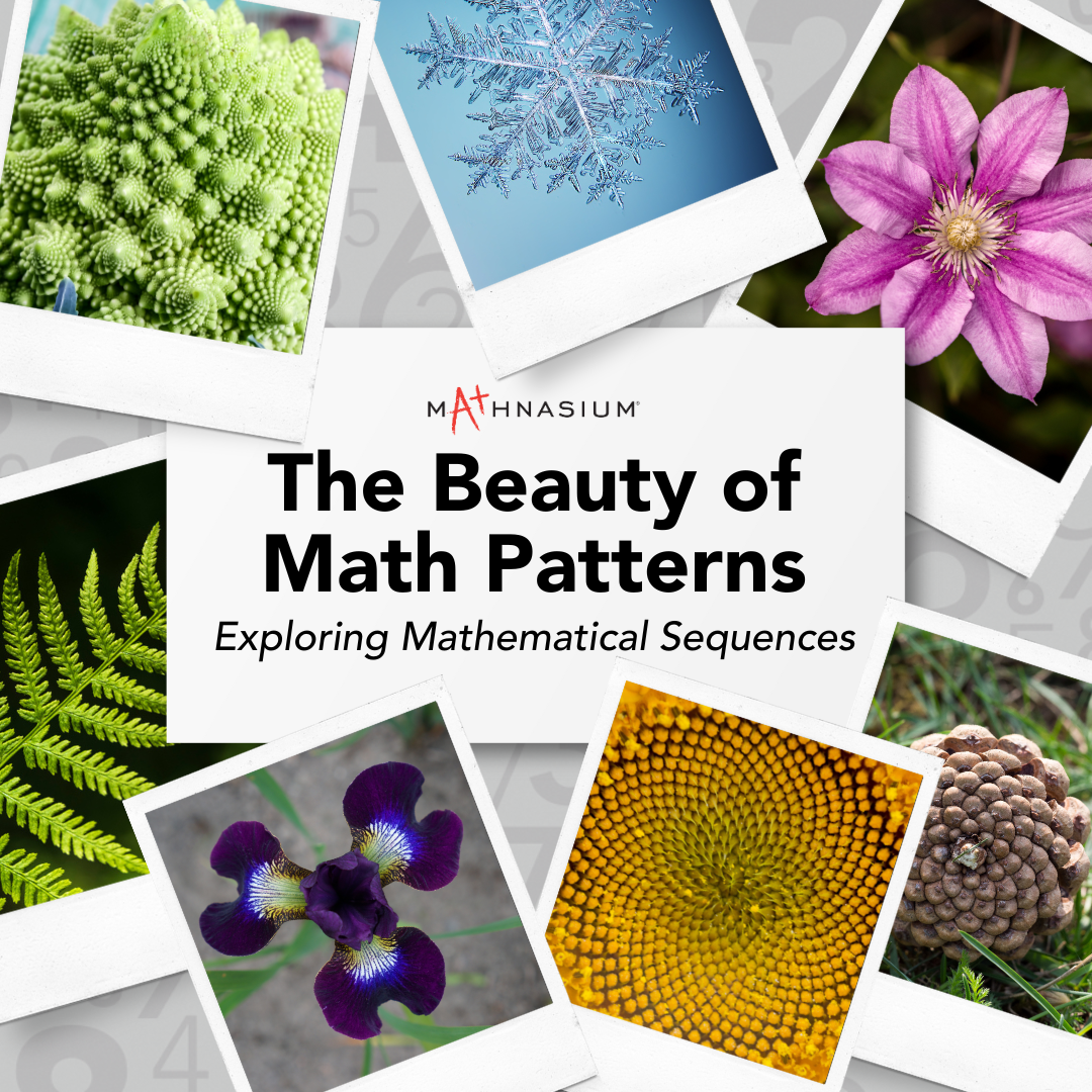 The Beauty Of Math Patterns Exploring Mathematical Sequences