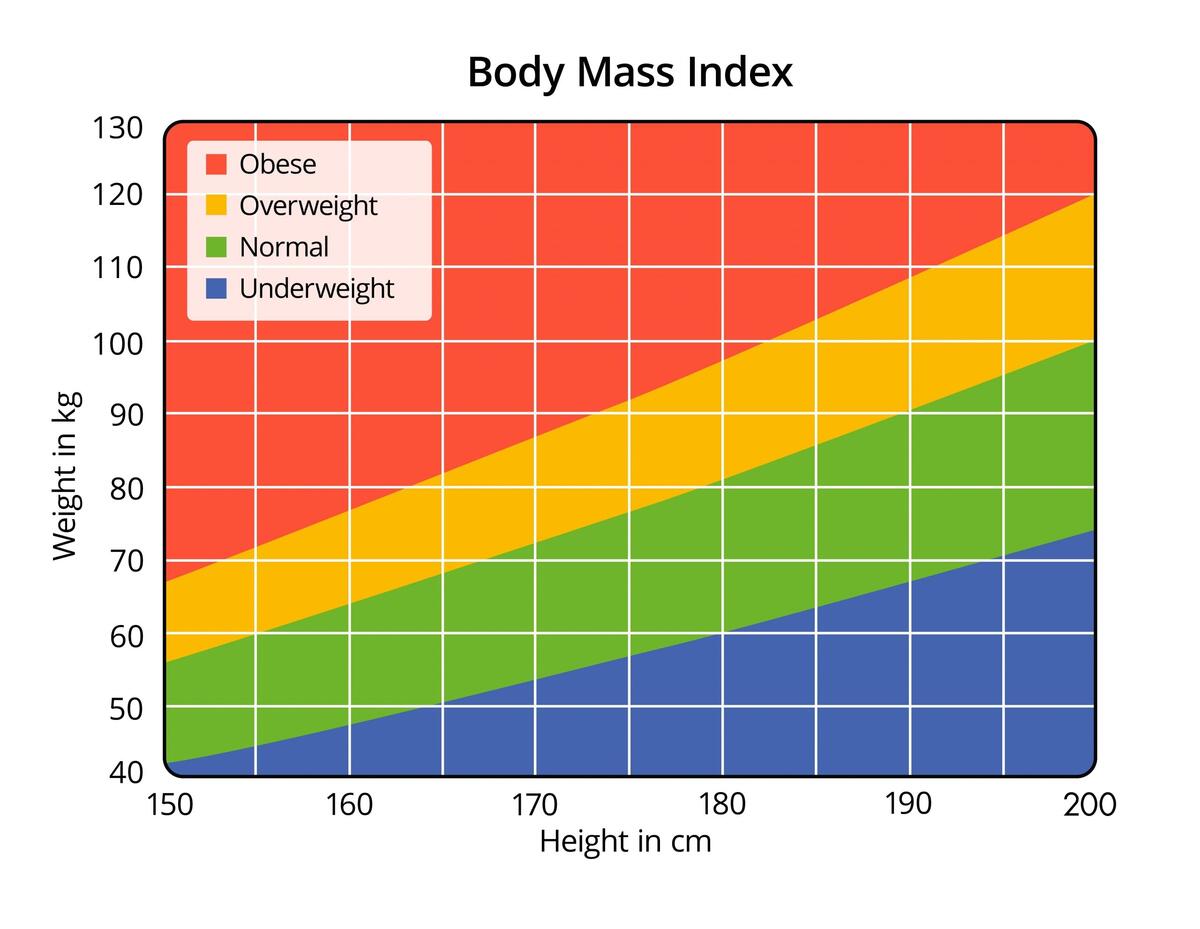 The Importance Of Knowing Your Body Mass Index BMI Port Macquarie Medical Dental Centre The Importance Of Knowing Your Body Mass Index BMI Port Macquarie Medical Dental Centre
