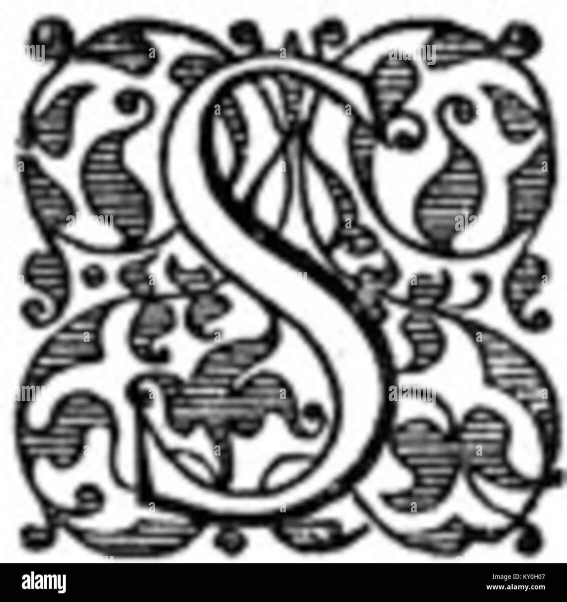 The Letter S Black And White Stock Photos Images Page 2 Alamy