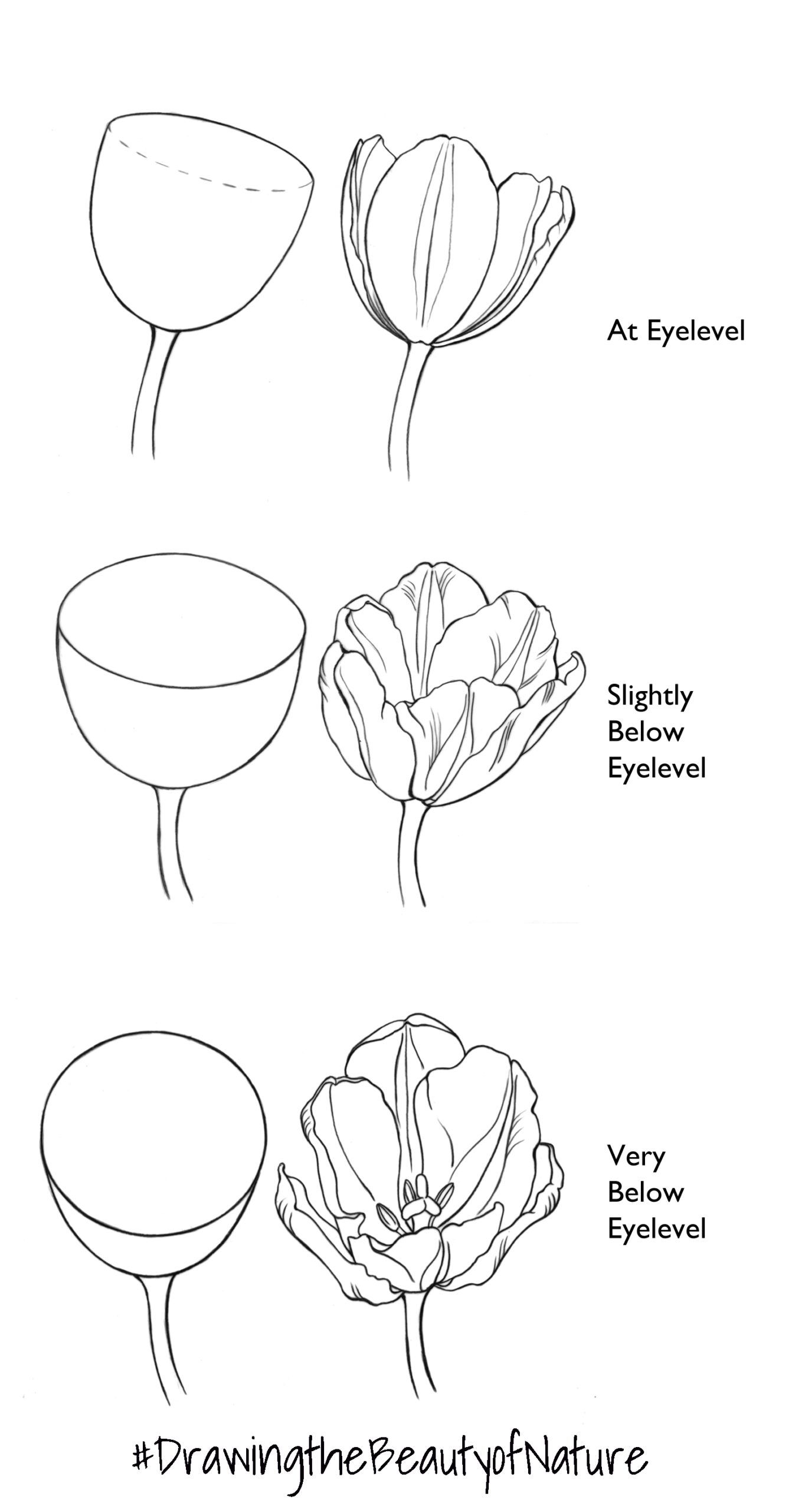Understanding Eyelevel The Art Of Mindy Lighthipe Drawing Art Lessons From Ari Sutton