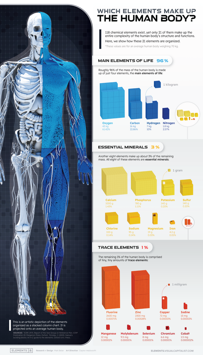 What Chemical Elements Make Up The Human Body What Chemical Elements Make Up The Human Body