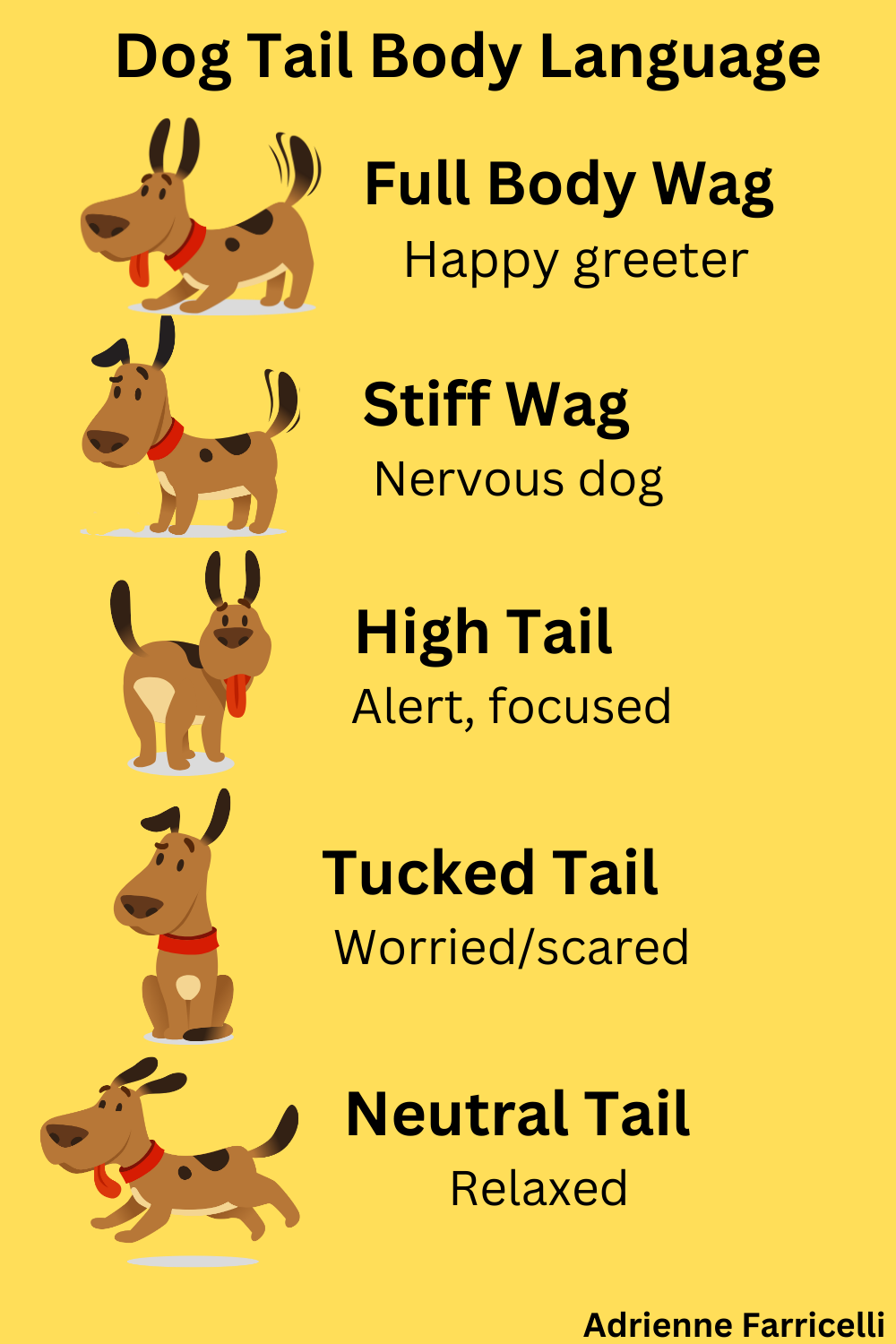 Why Do Dogs Wag Their Tails The Reason Is Fascinating Parade Pets