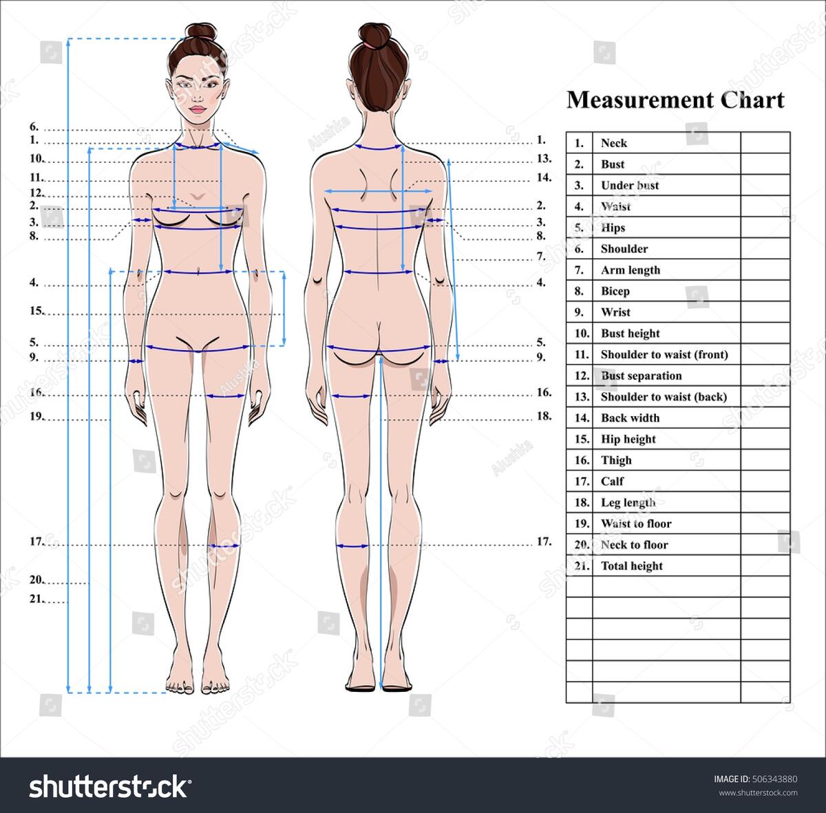 Female Body Measurement Chart In Illustrator PDF Download Template
